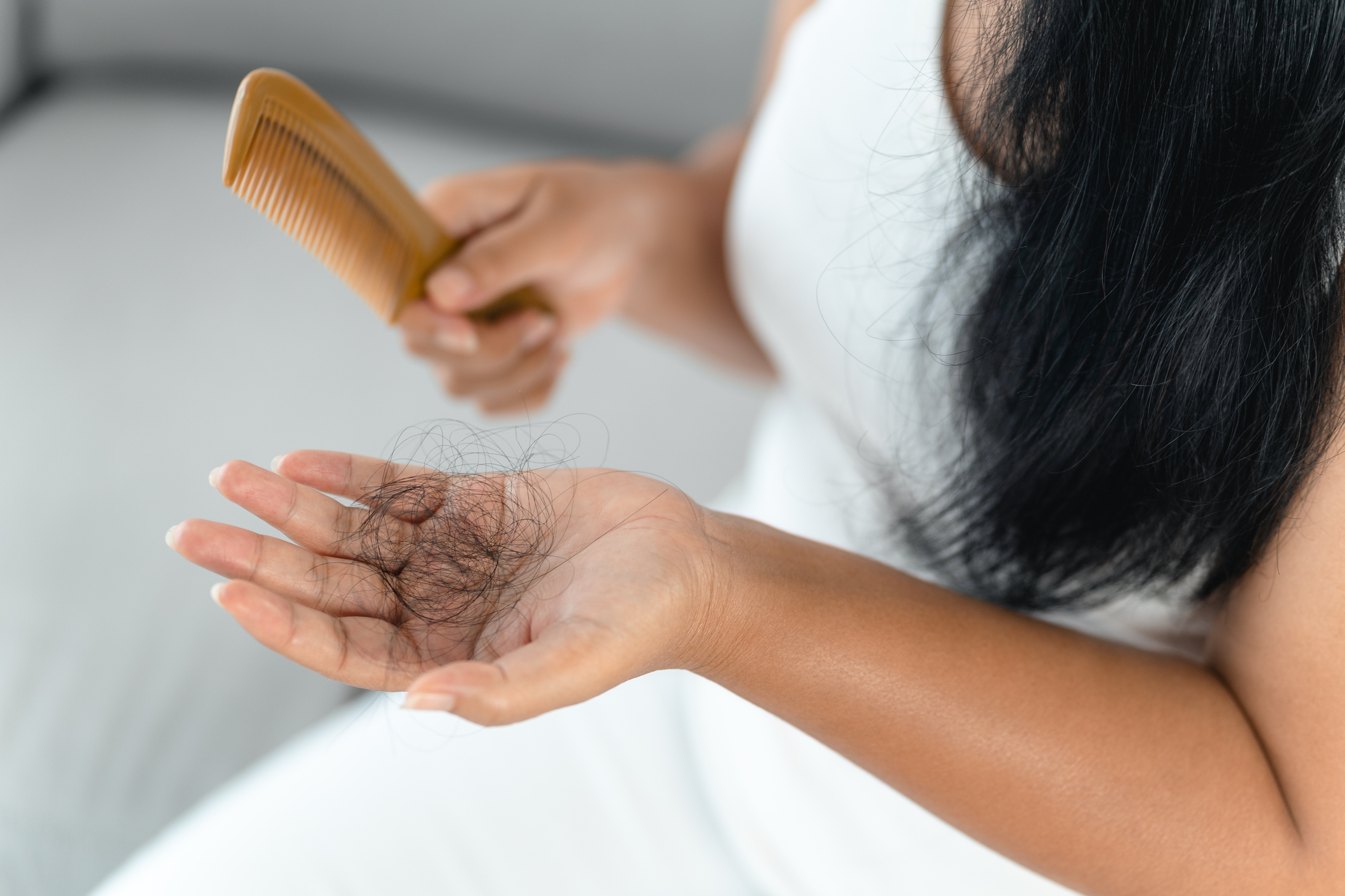 Λύκος Mαλλιών 1 iStock 1414022120